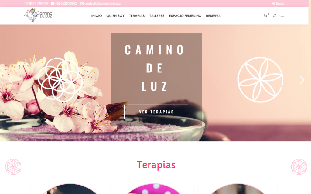 caminodeluz.cl