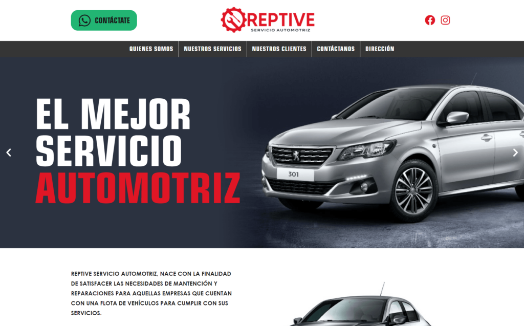 reptive.cl