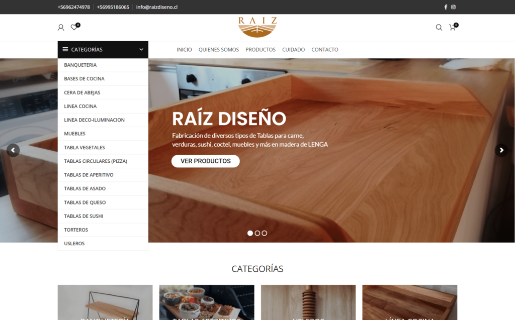 raizdiseno.cl