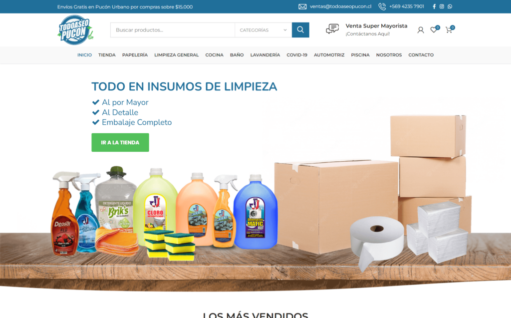 todoaseopucon.cl